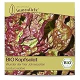 Samenliebe BIO Kopfsalat Samen alte Sorte Wunder der Vier Jahreszeiten aromatischer Blattsalat Salat rot grün 500 Samen samenfestes Gemüse Saatgut für Gewächshaus Freiland und Balkon BIO Gemüsesamen