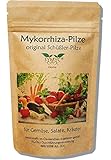 Mykorrhiza-Pilz Konzentrat für Gemüse, Salate und Kräuter - original Schüßler-Pilze, bekannt aus Funk und Fernsehen, zur Verbesserung von Pflanzenwachstum und -Gesundheit