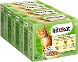 Kitekat Katzenfutter Geflügel-Allerlei in Gelee, 48 Beutel (2 x 24 x 85g)