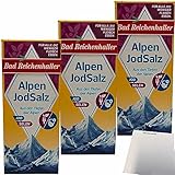 Bad Reichenhaller Alpen Jod Salz + Selen 3er Pack (3x500g Packung) + usy Block