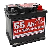 Batterie Auto Original Speed by SMC Code 7903430 L155 12 V 55 Ah 480 A en mit Pluspol RECHTS