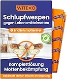 Witexo® Schlupfwespen gegen Lebensmittelmotten | Komplettbehandlung | Effektiv Lebensmittel Motten bekämpfen | Alternative zu Mottenfalle und Mottenspray | 4 Karten in 4 zeitversetzten Lieferungen