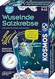 KOSMOS 654160 Fun Science - Wuselnde Salzkrebse,Erwecke die Urzeit zum Leben,Experimentier-Set für Kinder ab 8 Jahre,Komplett-Set für Einsteiger mit Eier,Futter