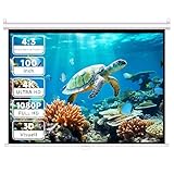 VISULAPEX Leinwand Beamer deckenmontage 100' Rollo-Leinwand,manuelle Projektionsleinwand für Decken- und Wandmontage,4:3 Bildformat,für Heimkino,Büro,Schule