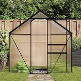Treibhaus Pflanzenschutz Winter Zelt,Gewächshaus mit Fundament Anthrazit Aluminium 3,61 m²,Gartengewächshaus für Blumen & Pflanzen