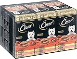 Cesar Megapack Klassik-Terrine - Hundenassfutter in der Schale - 4 Varietäten im Multipack - 24 x 150g