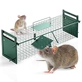 Garthein - Lebendfalle 60cm für Mäuse, Ratten und Marder Rattenfalle lebendfalle Maus Mausefalle Biss sicher bissfest Wetterfest robust einfache Anwendung schnell aufgebaut Outdoor Tier in Grün