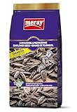 MERAY Dakota Sonnenblumenkerne Geröstet & Extra Gesalzen 250g
