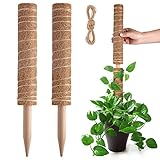 Pisol Moosstange für Pflanzen, Monstera, ausziehbare Pflanzstäbe, Pflanzenstäbe für Zimmerpflanzen, 40 cm Kokosfaserstange, Pflanzengitter für Sphagnum, Pothos und andere Kletterpflanzen (2 Stück)