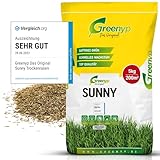 Greenyp® Sunny I dürreresistenter Trockenrasen I 5kg für 200m² I Grassamen Rasensamen Rasensaat Gras Nachsaat schnellkeimend