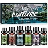 AESHORY Natürlich Ätherische Öle Set für Diffuser 6 x 10ML, Aromatherapie Duftöl, Aroma Öl Geschenkset für SPA, Kerzenherstellung - Bambus, Regen, Wald Kiefer, Sandelholz & Rose, Lavendel & Kamille
