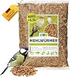 Mehlwürmer getrocknet 5,5 ltr. Insektensnack für Vögel, Fische, Schildkröten, Nager und Reptilien EWL Naturprodukte