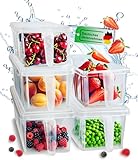 ExTrend - Kühlschrank Organizer 5er Set für optimale Ordnung im Kühlschrank - Stapelbare Aufbewahrungsboxen - Kühlschrank Organizer mit Deckel & Griff - Küche Organizer - Fridge Organizer - BPA FREI