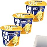 Birkel Minuto Käse-Nudeltopf 3er Pack (3x70g Packung) + usy Block