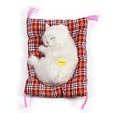 Entzückende schlafende Katze mit weichem Mattenbett und simuliertem Ton angefüllte Plüschspielwaren das meiste populäre Feriengeschenk für Vorschuljungen und Mädchen(Weiß)