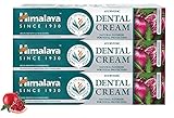 Himalaya Ayurvedic Dental Cream Herbal Toothpaste - Neem & Pomegranate Gum Protection | Helps Fight Plague, Cavity and Prevents Tooth Decay | With Natural Fluoride - 100g (Pack of 3)