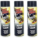 Citomerx Fast Finish Rallye Lack schwarz seidenmatt 3x 500 ml
