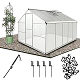 Gegaden Alu Gewächshaus für den Garten | Mit 8 cm dickeres Fundament |301*238*195 cm Set | Vielseitig nutzbar als Treibhaus, Gartenhaus,Aufzucht Tomatenhaus und Pflanzenhaus, Silber