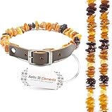 Bernsteinkette Hund & Katze – Verstellbares Bernsteinhalsband – Bernstein Halsband für große & kleine Hunde und Katzen (20-22 cm)
