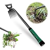 Gartenarbeit Hand Unkrautstecher, Gartenwerkzeug Unkraut Entferner Gerät, Entwurzelungswerkzeug Unkrautjäter mit Langem Stiel Unkrautjäter Fugenkratzer mit Stiel Gummigriff 6 Zähne