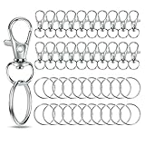 Schlüsselanhänger Karabiner Schlüsselring Edelstahl 40Stk Zinklegierung & Edelstahl Set für DIY Handwerk Haus, Auto, Sport – Ringe Karabinerhaken mit Drehgelenk (Silber 40pcs)