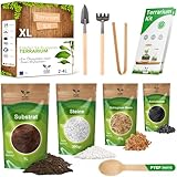 Flaschengarten Komplettset zum Schaffen EIN Ökosystem im Glas - Terrarium Starter Kit zum Anlegen EIN Biotop im Glas - Kit Terrarium mit Garten Werkzeug, Moos, Erde, Steinen (Ohne Flasche, XL)