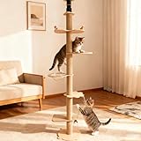 Kratzbaum vom Boden bis zur Decke (5 Etagen)