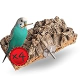 4 Stück Korksitzbretter 20 x 10cm XXL Paket zum Sonder-Sparpreis handgefertigtes Sitzbrett und Zubehör für den Vogelkäfig artgerechte Haltung für Heimvögel, nachhaltig aus der EU