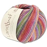 Frida's Wollhaus Lana Grossa 100 g Landlust die Sockenwolle 4-fädig Stricken Wolle Garn 33 Farben (803)