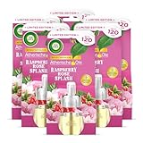 Air Wick Duftölflakon Nachfüller Raspberry Rose Splash – Fruchtiger Raumduft – 6er Duftöl Set – Plastikfreie Verpackung