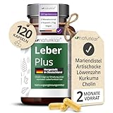 Leber Plus hochdosiert - 80% Silymarin, Mariendistel Kapseln mit Artischocke, Löwenzahn, Curcuma & Cholin - 120 Kapseln - Vegan - Milk thistle - Made in Germany