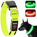 KOSKILL Leuchthalsband Hund Wiederaufladbare USB LED Hundehalsband Wasserdichtes Leuchtendes Hunde Halsband Einstellbare Super Helle für Mittlere Große Hunde (Grün, L)