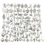 BCZR 100 Stück Charms Anhänger Set, Schmuck Anhänger Set, Gemischte Charms Silber, Schmuckanhänger Zum Basteln,Ohrringe Selber Machen Perlen,Charms Set,Anhänger Armband,Charm Armband Selber Machen