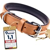 Schnüffelfreunde Halsband für Hunde aus Leder, Hundehalsband für den großen, mittleren und kleinen Hund, Lederhalsband gepolstert, robust (XL - 46-55cm, Beige)