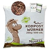 500 Stk. Kompostwürmer (250g) | Regenwürmer Eisenia, kompostieren Sie Ihren organischen Abfall - Für Vermicomposter/Komposter/Garten