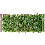 Terrassenzaun Privatsphäre – erweiterbarer Sichtschutz-Zaun – Grüne Kulisse Dekoration Garten Spalier Paneele Erweiterbar für Hinterhof Hof