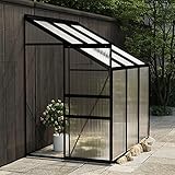 ShCuShan Anlehngewächshaus TomatengewäChshaus Garden Greenhouse FoliengewäChshaus Anthrazit Aluminium 3,97 m³