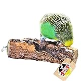 Vogelgaleria® Korksitzstange Wellensittich Nymphensittich 10cm| Kork Sitzstange mit herrlicher Korkrinde zum Sitzen und Knabbern | Vogelsitzstange und Vogel Stange für Krallenpflege | Korksitzbrett
