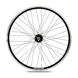XB3 Vorderrad 28 Zoll Nabendynamo schwarz Hohlkammerfelge Laufrad für Felgenbremse