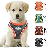 LOS ANDES Hundegeschirr mit Leine, Reflektierend, Weich Gepolstert, Air-Mesh, für Kleine Hunde und Katzen, in Grey Reflective, Größe S