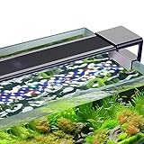 hygger Clip On Aquarium Beleuchtung, Vollspektrum Aquarium LED Beleuchtung,10W 24/7 Beleuchtungs Zyklus Aquarium Licht mit 10 Farben, Einstellbarer Timer,3 Modus für 18-30cm Süßwasser Aquarien