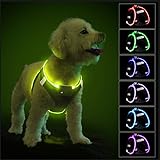 PcEoTllar Hundegeschirr Leuchtend, Leuchtgeschirr LED Aufladbar Reflektierendes, Beleuchtetes Leuchtgeschirr für Welpe Klein Mittlere Hund, Atmungsaktiv Leucht Geschirr, Schwarz(9 Modi), L