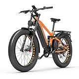 Dukawey Silvertip8 E-Bike 26 Zoll Fatbike 52V Motor E-Mountainbike mit Abnehmbar 20Ah-Akku, Reichweite bis 150KM, LCD-Display，Hydraulische Scheibenbremsen (Orange)