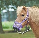 Busse Fressbremse Classic, schwarz, Shetty