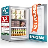 Stillstern Mini Gefrierschrank (42L) -18°C, Eiswürfelschale, Schloss, Türanschlag wechselbar, 4-Sterne Tiefkühlschrank für Camping/Büro Gefriertruhe Klein Gefrierschrank Klein Tiefkühltruhe