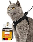 Tierhood - Katzengeschirr Set mit Leine für kontrollierte Freiheit - Softgeschirr - Komfortabel, Einstellbar & Robust - Geschirr für aktive Katzen (Schwarz, Größe S)