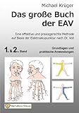 Das grosse Buch der EAV: Grundlagen und praktische Anwendung