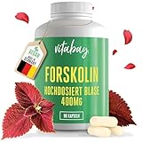 Vitabay Forskolin 400mg - 90 Kapseln aus Coleus Forskohlii Extrakt - Forskolin Hochdosiert Blase - Forskolin Blase Forskolina Forskolin Kapseln - Forscolin Foskolin Forskolin Pulver Forskolin Coleus