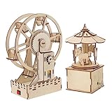 ERINGOGO 2Sätze Holz Puzzle Für Pädagogisches Intellektuelles Fördert Frühes Lernen Mit Holzmaschinen Jigsaw Für Jungen Und Zufällige Designs
