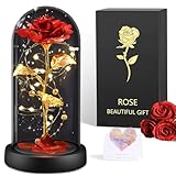BOLEi Ewige Rose für Frauen, Ewige Rose im Glas Überraschung für Mama, Die Schöne und das Biest Roses, Hochzeitstag Überraschung für Frauen, Rote Galaxie Rosen für Sie, Freundin（Klassische Rote Rose）